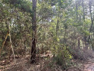 Lot 28 Sycamore Lane, Plantersville, TX 77363