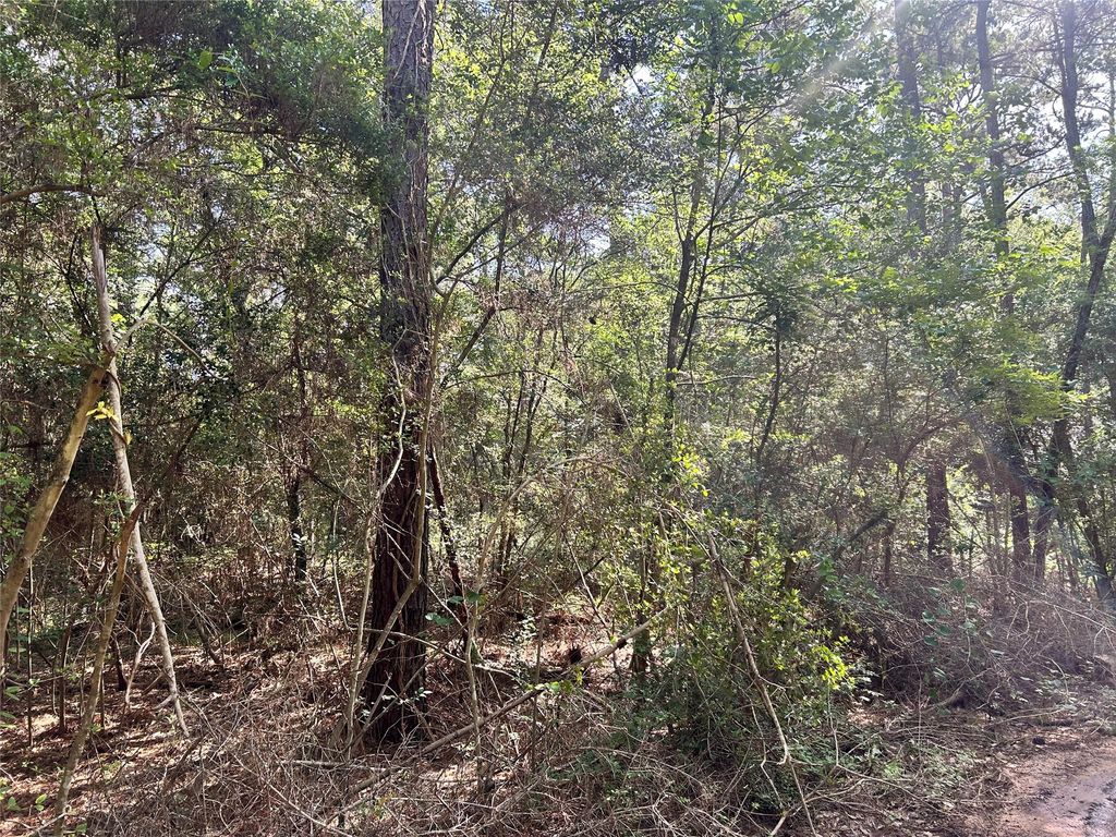 Lot 28 Sycamore Lane, Plantersville, TX 77363