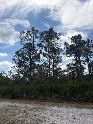 28078 RAMIRO DRIVE, Punta Gorda, FL 33955