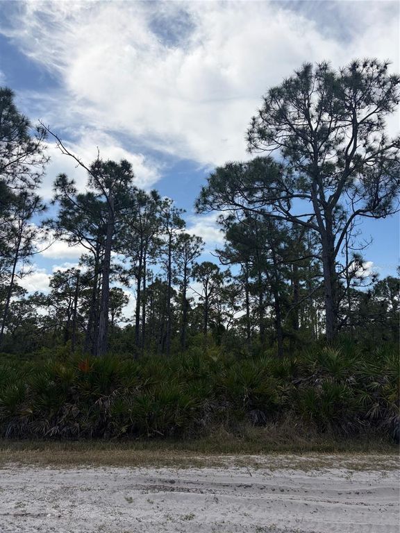 28078 RAMIRO DRIVE, Punta Gorda, FL 33955