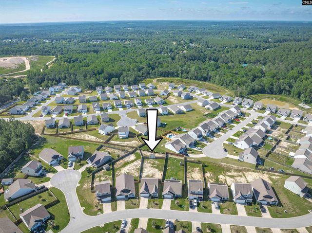 239 Common Reed Drive, Gilbert, SC 29054