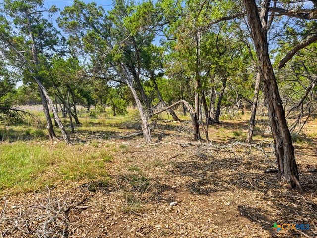 369 Onion Creek Lane, Blanco, TX 78606