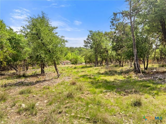369 Onion Creek Lane, Blanco, TX 78606