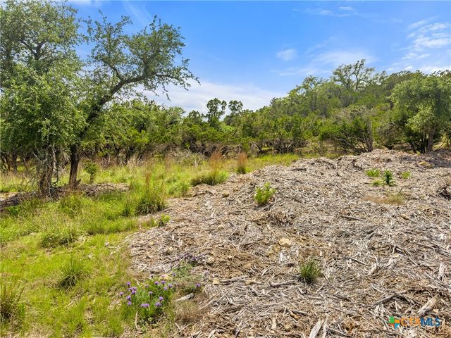 369 Onion Creek Lane, Blanco, TX 78606
