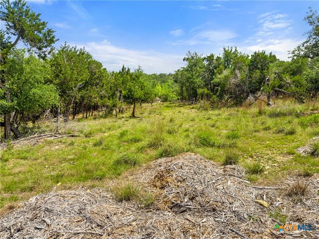 369 Onion Creek Lane, Blanco, TX 78606