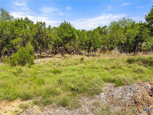 369 Onion Creek Lane, Blanco, TX 78606