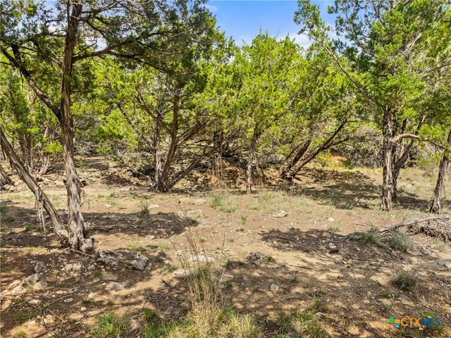 369 Onion Creek Lane, Blanco, TX 78606