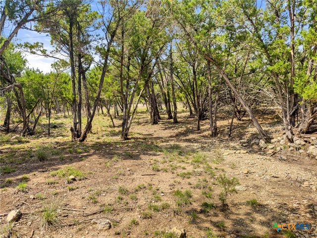 369 Onion Creek Lane, Blanco, TX 78606