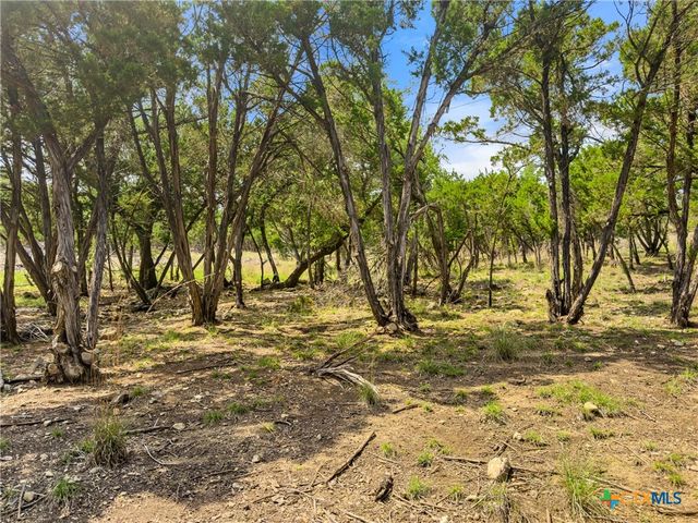 369 Onion Creek Lane, Blanco, TX 78606