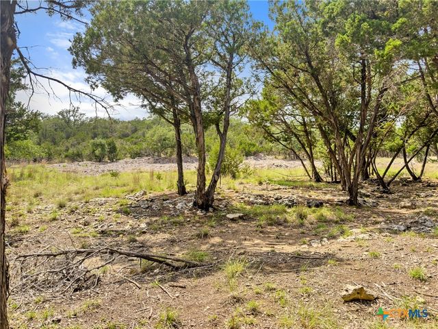 369 Onion Creek Lane, Blanco, TX 78606