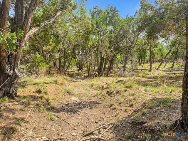369 Onion Creek Lane, Blanco, TX 78606
