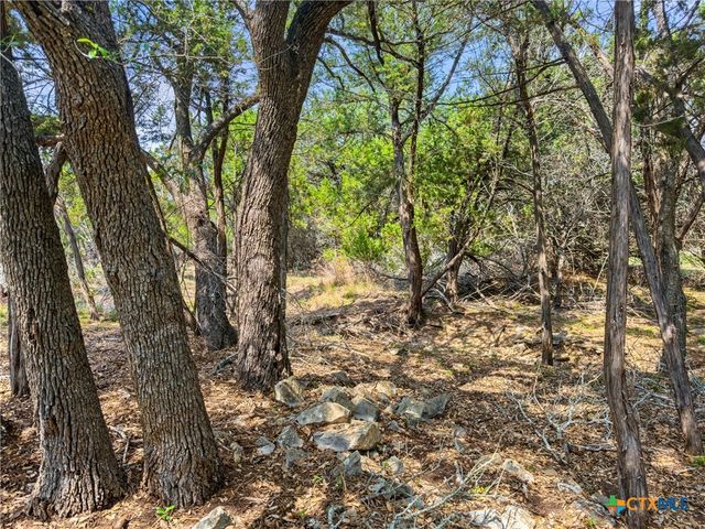 369 Onion Creek Lane, Blanco, TX 78606