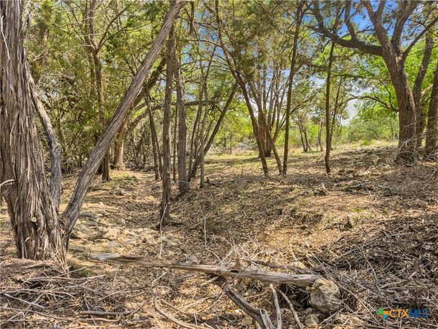 369 Onion Creek Lane, Blanco, TX 78606