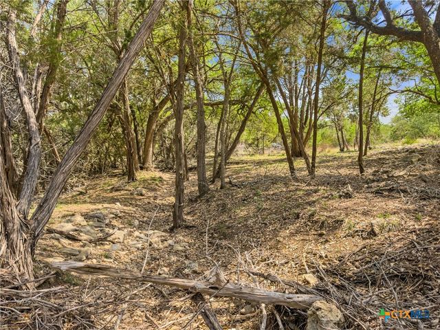 369 Onion Creek Lane, Blanco, TX 78606