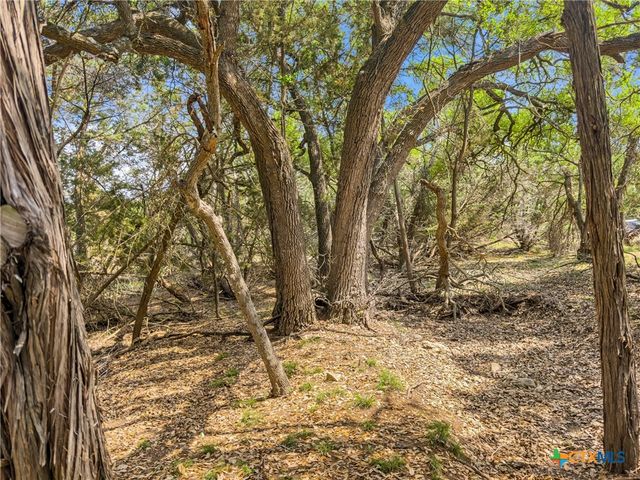 369 Onion Creek Lane, Blanco, TX 78606