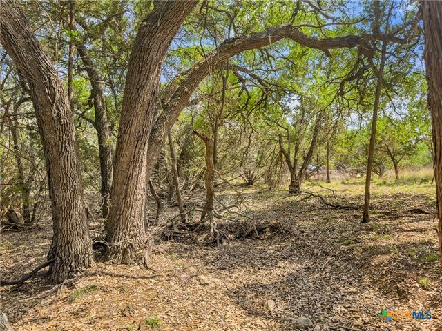 369 Onion Creek Lane, Blanco, TX 78606