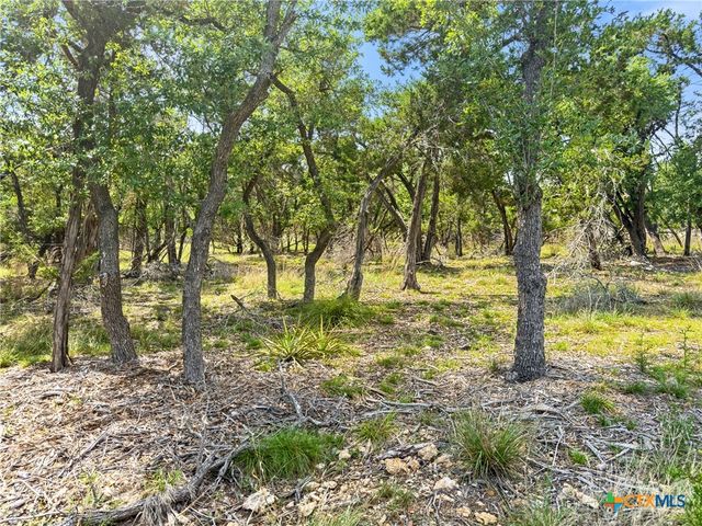 369 Onion Creek Lane, Blanco, TX 78606