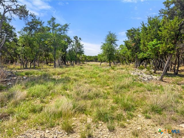369 Onion Creek Lane, Blanco, TX 78606