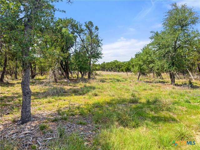 369 Onion Creek Lane, Blanco, TX 78606