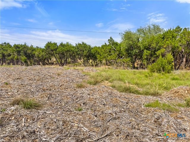 369 Onion Creek Lane, Blanco, TX 78606