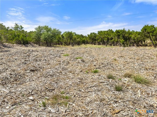 369 Onion Creek Lane, Blanco, TX 78606