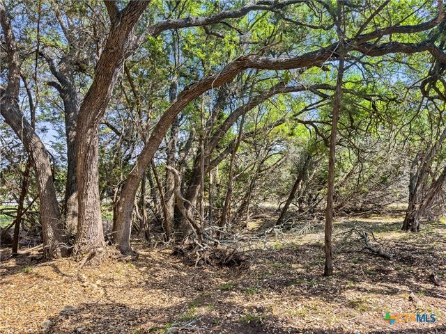 369 Onion Creek Lane, Blanco, TX 78606
