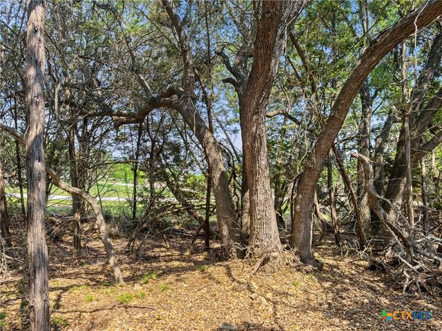 369 Onion Creek Lane, Blanco, TX 78606