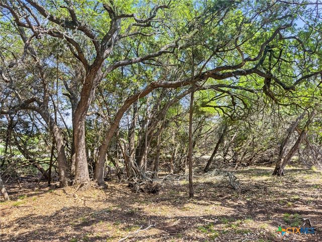 369 Onion Creek Lane, Blanco, TX 78606