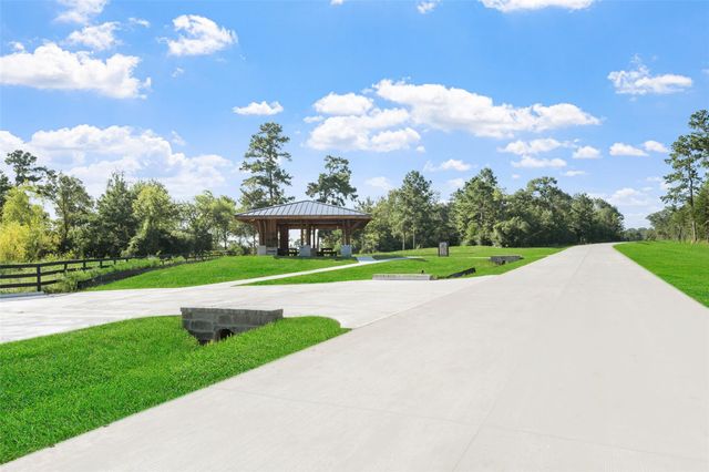 175 Remington Court, Coldspring, TX 77331