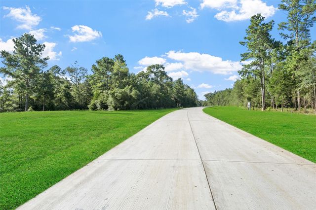 175 Remington Court, Coldspring, TX 77331