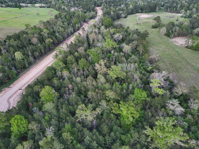 175 Remington Court, Coldspring, TX 77331