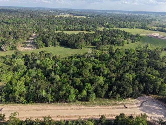 175 Remington Court, Coldspring, TX 77331