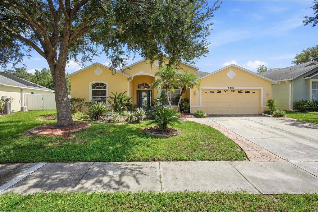 3803 GRAND FORKS DRIVE, Land O Lakes, FL 34639