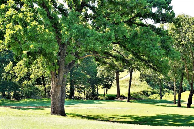 573 Sycamore Hills Loop, Gordonville, TX 76245
