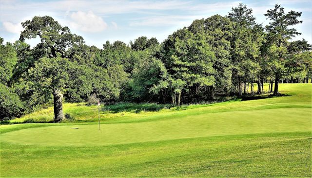 573 Sycamore Hills Loop, Gordonville, TX 76245