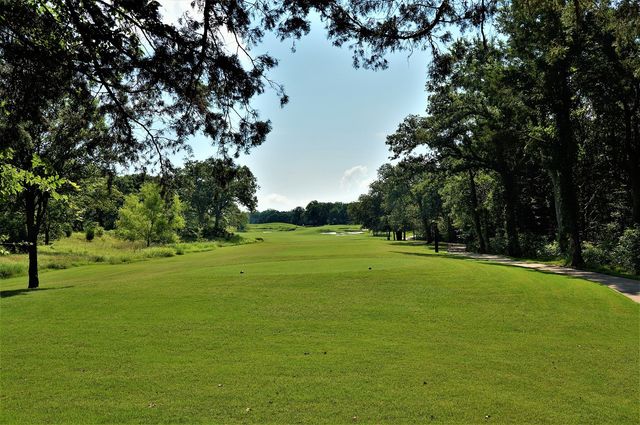573 Sycamore Hills Loop, Gordonville, TX 76245