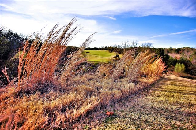 573 Sycamore Hills Loop, Gordonville, TX 76245
