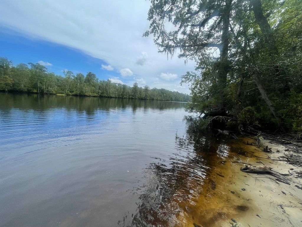 TBD8 Francis Marion Dr., Georgetown, SC 29440 — photo 2
