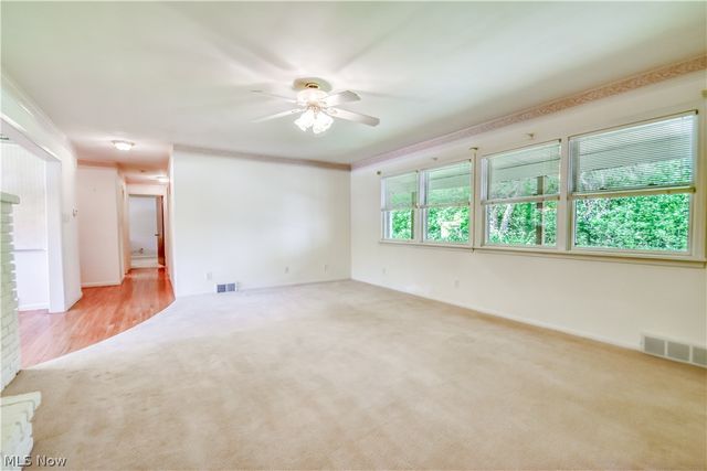 8905 Spring Valley Drive, Mentor, OH 44060