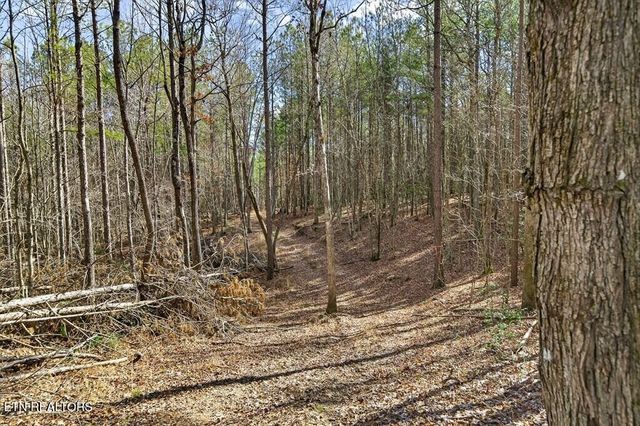 1780 Wolfhaven Rd, Spencer, TN 38585