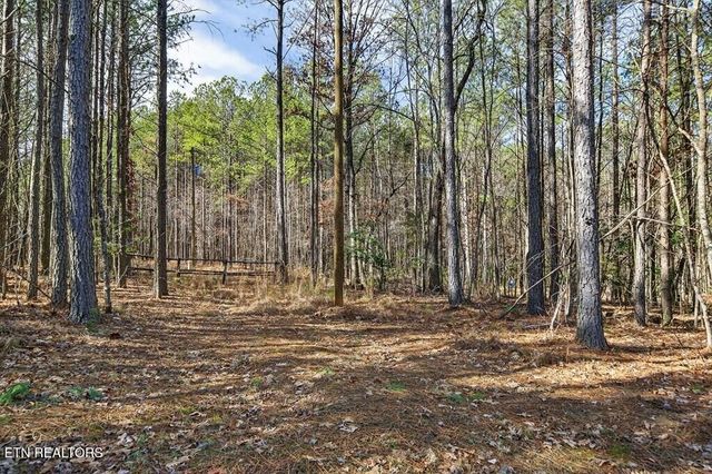 1780 Wolfhaven Rd, Spencer, TN 38585