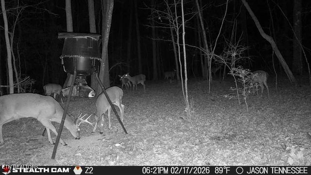 1780 Wolfhaven Rd, Spencer, TN 38585