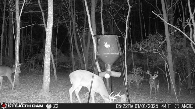 1780 Wolfhaven Rd, Spencer, TN 38585