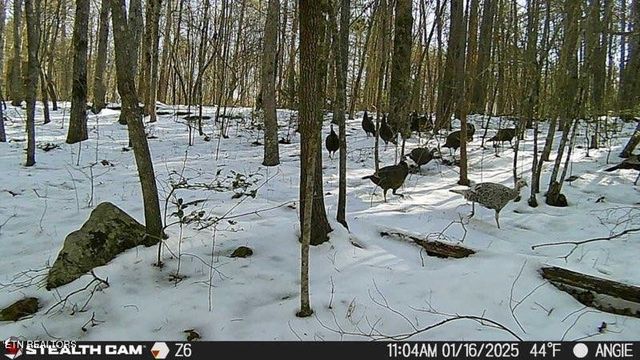 1780 Wolfhaven Rd, Spencer, TN 38585