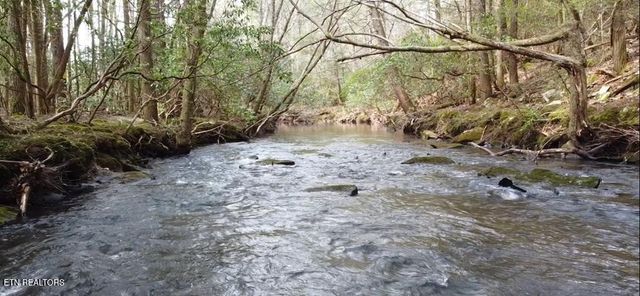 1780 Wolfhaven Rd, Spencer, TN 38585