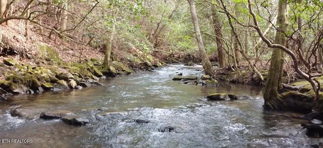 1780 Wolfhaven Rd, Spencer, TN 38585