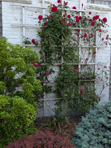 16 Old Salt Works Road, Chatham, MA 02633