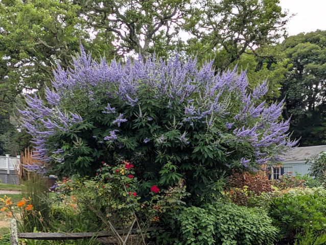 16 Old Salt Works Road, Chatham, MA 02633