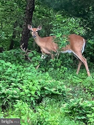 2163 BORDEAUX CT, Harrisburg, PA 17112