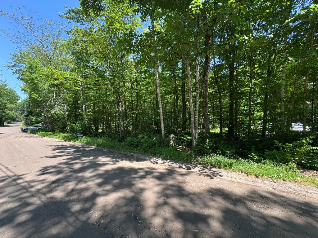 Lot 19 Thomas Pond Shore Road, Casco, ME 04015 — photo 4
